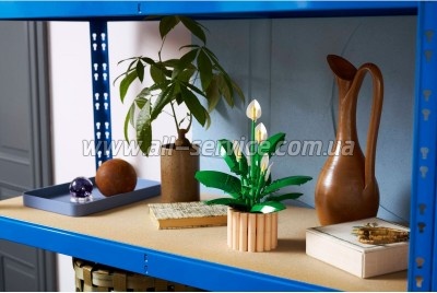 ����������� LEGO Botanicals ���������� (11504)