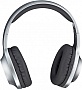  Panasonic RB-HX220BEE-S Gray (RB-HX220BEE-S)