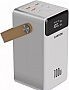   Canyon 60000mAh OnPower 610 PD/100W metal White (CNS-CPB610W)