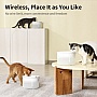   Uah Pet Glow Wireless Pet Fountain (UYSJ05QD)