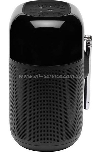   JBL Tuner XL Black (JBLTUNERXLBLKEU)