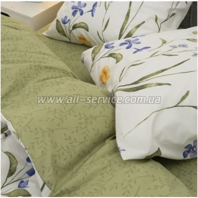   Viluta 24266   (24266_ev)