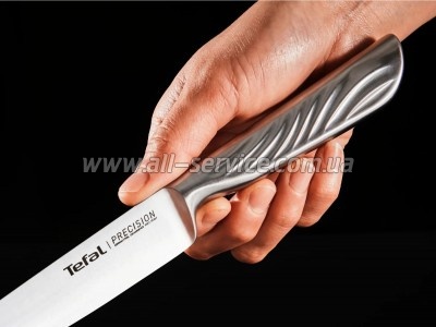 ��� Tefal Precision 12�� (K2890524)