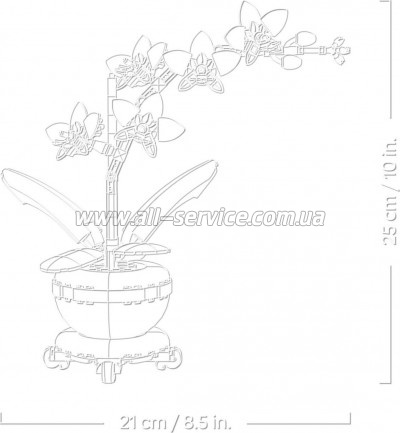 ����������� LEGO Botanicals ̳�� ������� (10343)