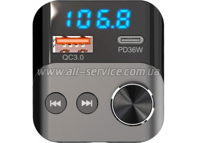 FM  Aspiring Wave 13 (TC-WA13)