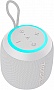   Tronsmart T7 Mini Grey (993710)