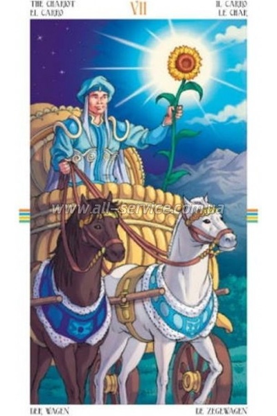 ����� ���� Scarabeo ���� ������ ���� (Wheel of the Year Tarot) (EX1862)