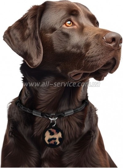    WAUDOG Smart ID  QR  "",  30  (230-4066)