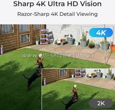   Reolink W437