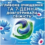    Ariel Pods+ All-in-1 Touch of Lenor    Lenor 19 . (8700216765954)