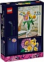 ����������� LEGO Botanicals ����������� ��������� ����� (10347)