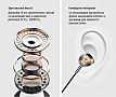 �������� ColorWay Slim 3.5 mm Wired Earphone Blast 2 Black (CW-WD02BK)