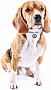    WAUDOG Smart ID  S 25-45   (60402)