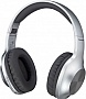  Panasonic RB-HX220BEE-S Gray (RB-HX220BEE-S)