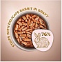     Club 4 Paws Selection       85  (4820215368087)