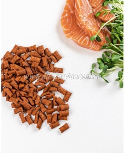    Savory Snack Salmon 60  (  ) (4820232631454)