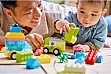 ����������� LEGO DUPLO My First ������ ����������� ������ (10474)