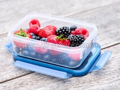 ������� ��������� Tefal Master Seal Eco 0.8� (N1171318)