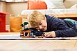 ����������� LEGO Minecraft ������ ���������� ����������� (21269)
