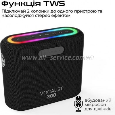  HiFuture Vocalist 300 Black (vocalist300.black)