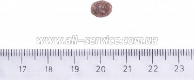     Brit Care Dog Hypoallergenic Adult Small Breed 7  (8595602566150)