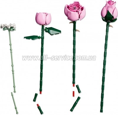 ����������� LEGO Botanicals ����� ������� ������ (10374)