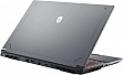  Thunderobot R16 (R16-i7146HX56C1Q300RG)
