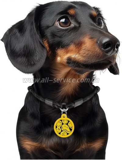    WAUDOG Smart ID  QR  "  ",  25  (225-0181)