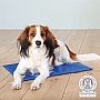   Trixie TX-28685 5040   (4011905286853)