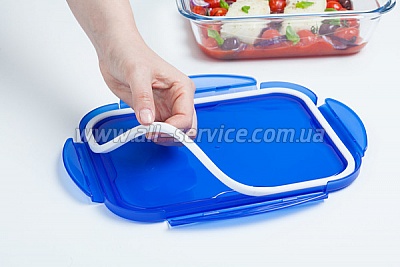    PYREX CK&GO (288PG00)