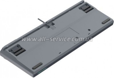  A4Tech FS300 FS Switches USB Panda Rock Climbin (4711422003086)