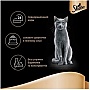     Sheba cig POU     85  (4770608257279)