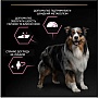     Purina Pro Plan Dog Medium Adult Sensitive Skin     14 (7613035120464)