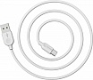 ���� ������ USB 2.0 AM to USB-C 1.0m 2.4A PVC BX14 white BOROFONE (6957531089995)