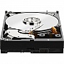  1TB WD 3.5 SATA 3.0 7200rpm 64Mb Cache Black (WD1003FZEX)