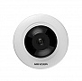 IP- Hikvision DS-2CD2955FWD-I 1.05