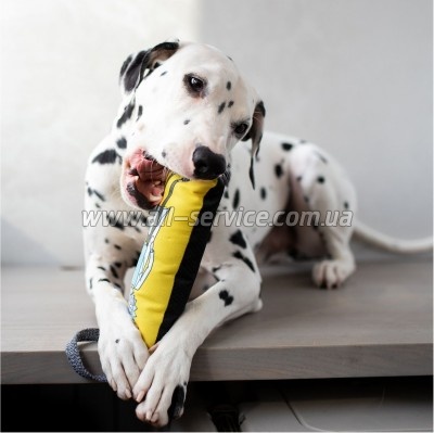  Waudog Fun "   2"   S (629-0281)