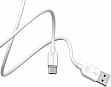 ���� ������ USB 2.0 AM to USB-C 2.0m 2.4A white BOROFONE (6957531090021)