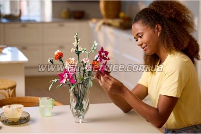 ����������� LEGO Botanicals ����� ������� ����� ������ (10342)