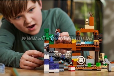  LEGO Minecraft      (21263)