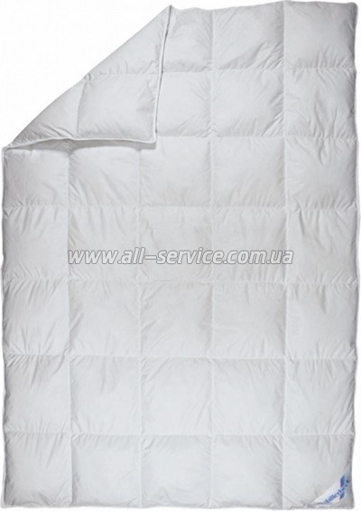  Billerbeck    0 200220 (0590-00/03)