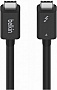 Дата кабель USB-C to USB-C 2.0m Thunderbolt 4 40Gbps 100w black Belkin (INZ002BT2MBK) Дата кабель USB-C to USB-C 2.0m Thunderbolt 4 40Gbps 100w black Belkin (INZ002BT2MBK)