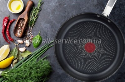 ��������� Tefal Intuition 24c� (B8170444)