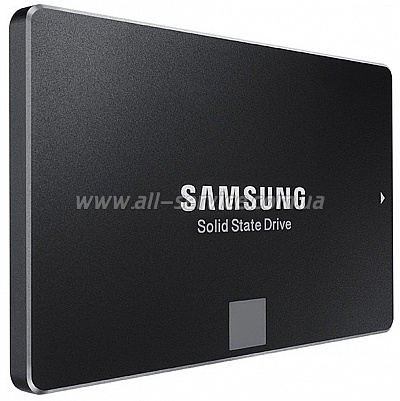 SSD  mSATA Samsung 850 EVO 500GB (MZ-M5E500BW)