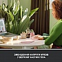  Logitech Lift Vertical Ergonomic Wireless/Bluetooth Rose (910-006478)