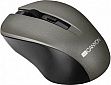  Canyon MW-1 Wireless Gray (CNE-CMSW1G)