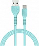���� ������ USB 2.0 AM to USB-C 1.2m Mint ACCLAB (1283126518256)