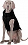  Airy Vest One XS 25  (20621)