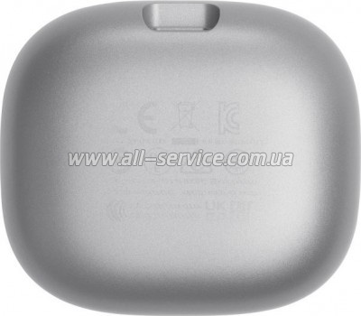  JBL Live Flex Silver (JBLLIVEFLEXSVR)