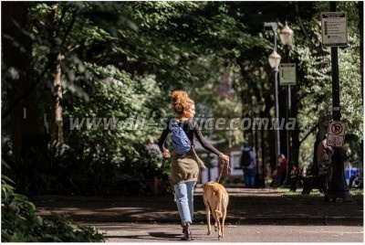 ������ ������������� Osprey Daylite Sling black - O/S - ������ (009.2492)